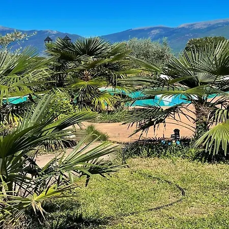 Wondrous Covered Veranda Besides Infinity Pool Jacuzzi In Magical Gardens * Colle Umberto (Umbria)